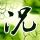 定制新版瑞尔森大学学位证【degxx.com】